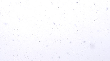 0123_snow.jpg