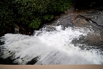 fallingwater00.jpg