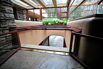 fallingwater01.jpg