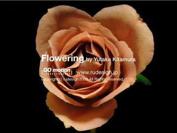 flowering01.jpg